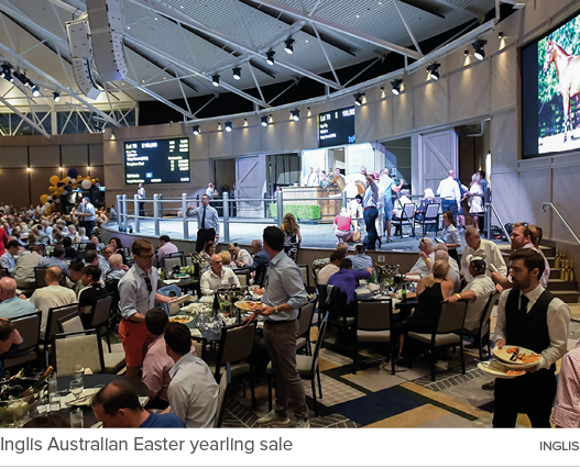 Inglis Australian Easter yearling sale   ingli