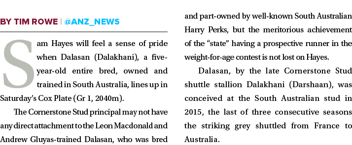  Sam Hayes will feel a sense of pride when Dalasan (Dalakhani), a five-year-old entire bred, owned and trained in Sou   