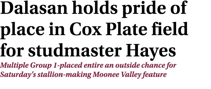 Dalasan holds pride of place in Cox Plate field for studmaster Hayes Multiple Group 1-placed entire an outside chance   