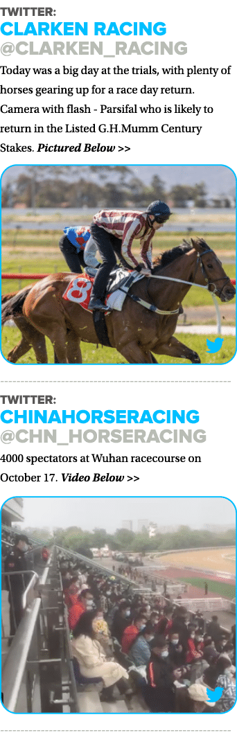 Twitter: Clarken Racing  Clarken_Racing Today was a big day at the trials, with plenty of horses gearing up for a rac   