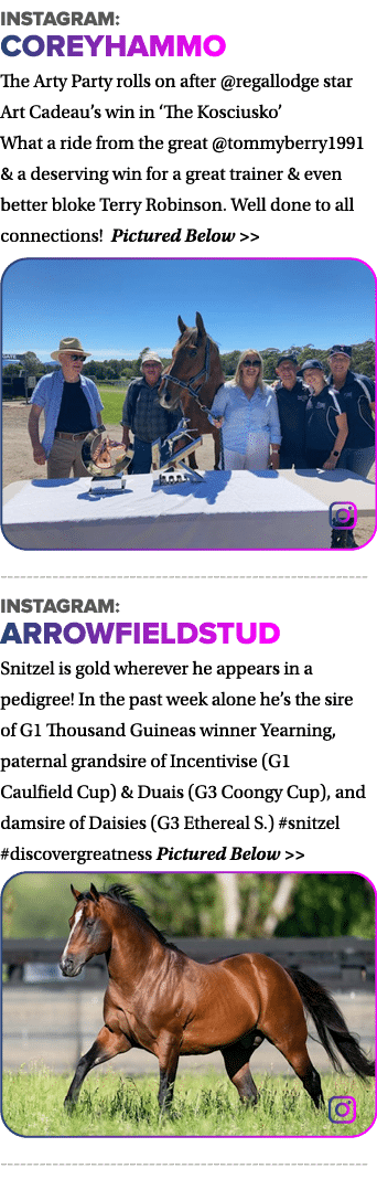 instagram: coreyhammo The Arty Party rolls on after  regallodge star Art Cadeau s win in  The Kosciusko  What a ride    