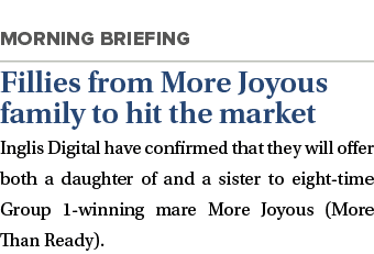  Fillies from More Joyous family to hit the market Inglis Digital have confirmed that they will offer both a daughter   