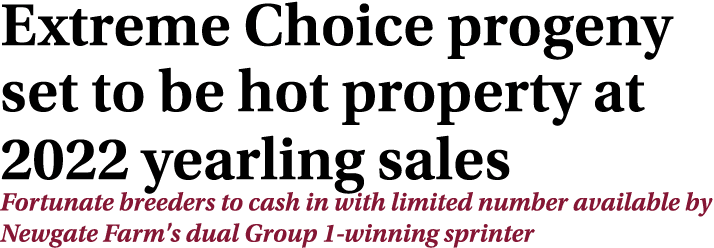 Extreme Choice progeny set to be hot property at 2022 yearling sales Fortunate breeders to cash in with limited numbe   