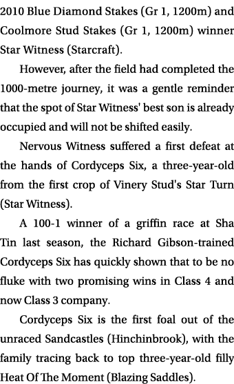 2010 Blue Diamond Stakes (Gr 1, 1200m) and Coolmore Stud Stakes (Gr 1, 1200m) winner Star Witness (Starcraft)  Howeve   