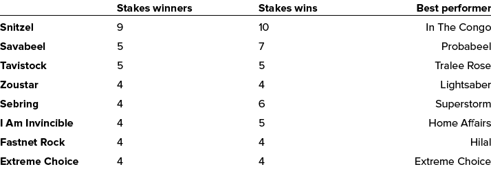  Stakes winners Stakes wins Best performer Snitzel 9 10 In The Congo Savabeel 5 7 Probabeel Tavistock 5 5 Tralee Rose   