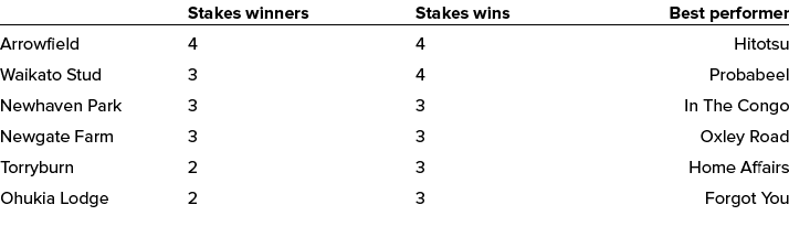  Stakes winners Stakes wins Best performer Arrowfield 4 4 Hitotsu Waikato Stud 3 4 Probabeel Newhaven Park 3 3 In The   