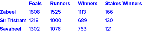  Foals Runners Winners Stakes Winners Zabeel 1808 1525 1113 166 Sir Tristram 1218 1000 689 130 Savabeel 1302 1078 783   