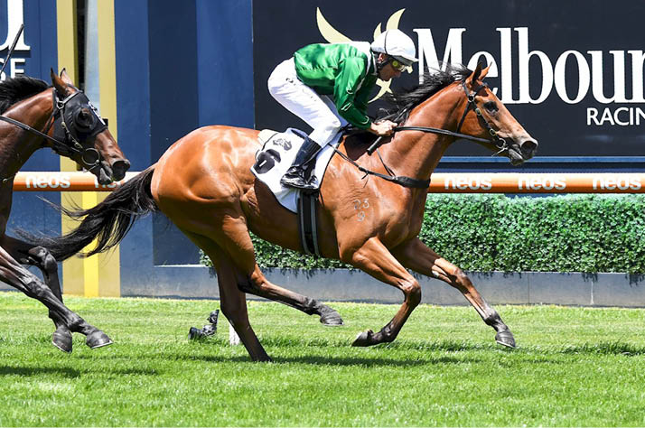 Ebhaar ridden by Damien Oliver wins the Thoroughbred Club Merson Cooper Stakes at Caulfield Racecourse on November 27, 2021 in Caulfield, Australia  (Pat Scala Racing Photos)