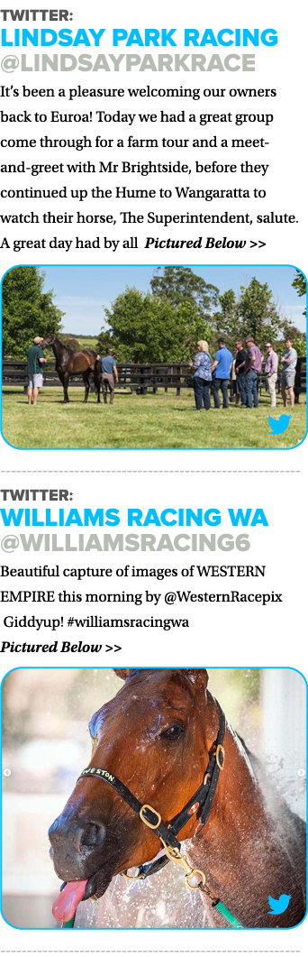 Twitter: Lindsay Park Racing  lindsayparkrace It s been a pleasure welcoming our owners back to Euroa  Today we had a   