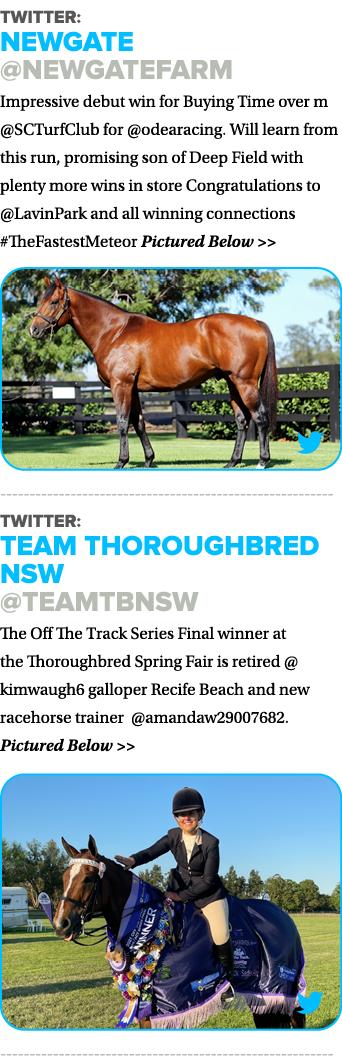 Twitter: Newgate  NewgateFarm Impressive debut win for Buying Time over m  SCTurfClub for  odearacing  Will learn fro   