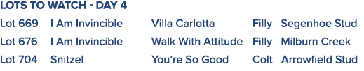 Lots to watch - Day 4 Lot 669 I Am Invincible Villa Carlotta Filly  Segenhoe Stud Lot 676 I Am Invincible Walk With A   