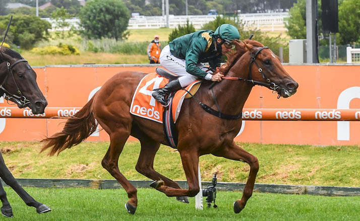 Philosopher ridden by Damien Oliver wins the Ann Kilkenny Handicap  at Caulfield Racecourse on January 08, 2022 in Caulfield, Australia  (Brett Holburt Racing Photos)