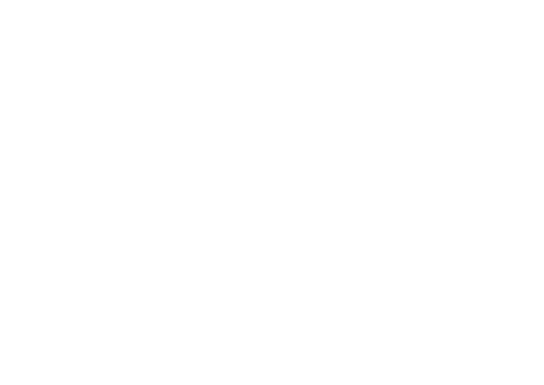 Lauriston revel in  1 1 million colt raised as a twin
