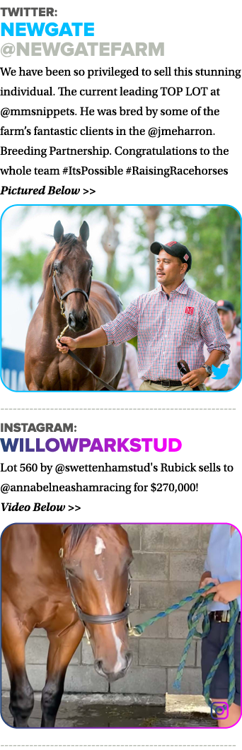 Twitter: Newgate  NewgateFarm We have been so privileged to sell this stunning individual  The current leading TOP LO   
