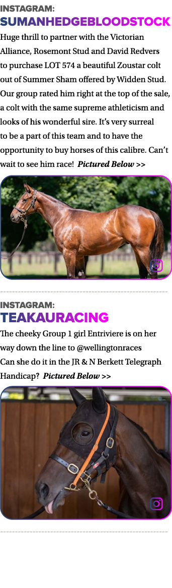 instagram: sumanhedgebloodstock Huge thrill to partner with the Victorian Alliance, Rosemont Stud and David Redvers t   