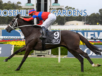 Verry Elleegant (James McDonald) trained by Chris Waller wins the Tancred Stakes (Group 1) at Rosehill on March 28, 2020 - photo by Mark Bradley Bradley Photos copyright