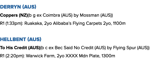 Derryn (AUS) Coppers (NZ)(b g ex Coimbra (AUS) by Mossman (AUS)) R1 (1:33pm): Ruakaka, 2yo Alibaba s Flying Carpets 2   