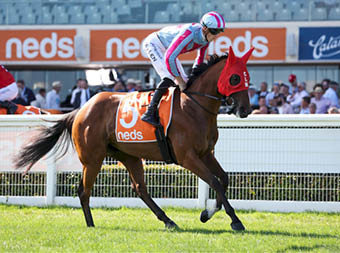 Marabi ridden by Ben Allen on the way to the barriers prior to the running of the Neds Oakleigh Plate at Caulfield Racecourse on February 26, 2022 in Caulfield, Australia  (George Sal Racing Photos)
