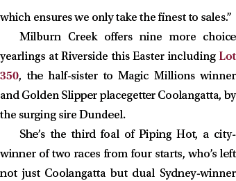 which ensures we only take the finest to sales   Milburn Creek offers nine more choice yearlings at Riverside this Ea   