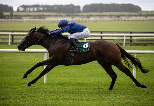 Pinatubo and William Buick annihilate the Goffs Vincent O Brien National Stakes (Group 1) The Curragh  Photo: Patrick McCann Racing Post 15 09 2019   