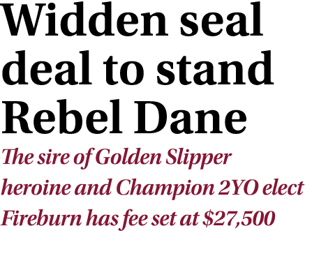 Widden seal deal to stand Rebel Dane The sire of Golden Slipper heroine and Champion 2YO elect Fireburn has fee set a   