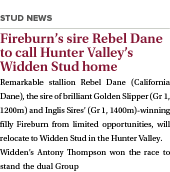  Fireburn s sire Rebel Dane to call Hunter Valley s Widden Stud home Remarkable stallion Rebel Dane (California Dane)   