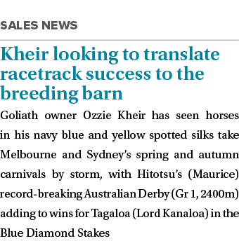  Kheir looking to translate racetrack success to the breeding barn Goliath owner Ozzie Kheir has seen horses in his n   