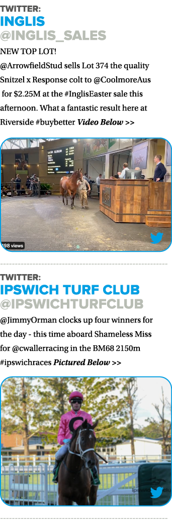 Twitter: Inglis  inglis_sales NEW TOP LOT   ArrowfieldStud sells Lot 374 the quality Snitzel x Response colt to  Cool   