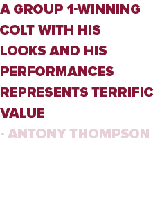 A Group 1-winning colt with his looks and his performances represents terrific value - Antony Thompson
