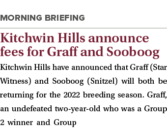  Kitchwin Hills announce fees for Graff and Sooboog Kitchwin Hills have announced that Graff (Star Witness) and Soobo   