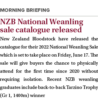  NZB National Weanling sale catalogue released New Zealand Bloodstock have released the catalogue for their 2022 Nati   