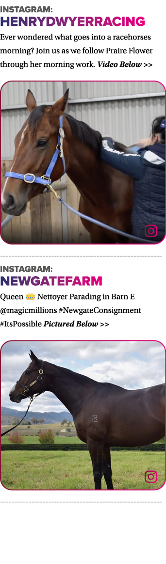 Instagram: henrydwyerracing Ever wondered what goes into a racehorses morning  Join us as we follow Praire Flower thr   
