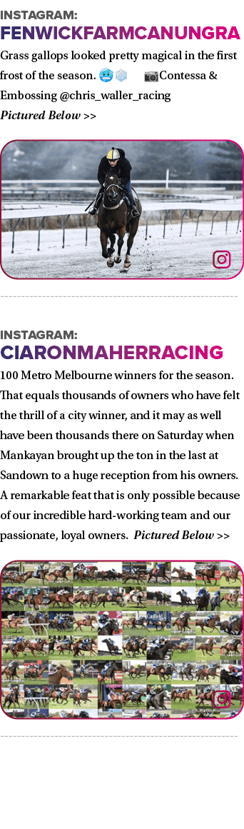 Instagram: fenwickfarmcanungra Grass gallops looked pretty magical in the first frost of the season. 🥶❄️ 📷Contessa ...