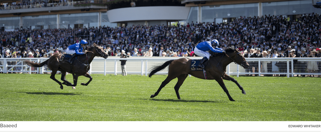 Baaeed Edward Whitake