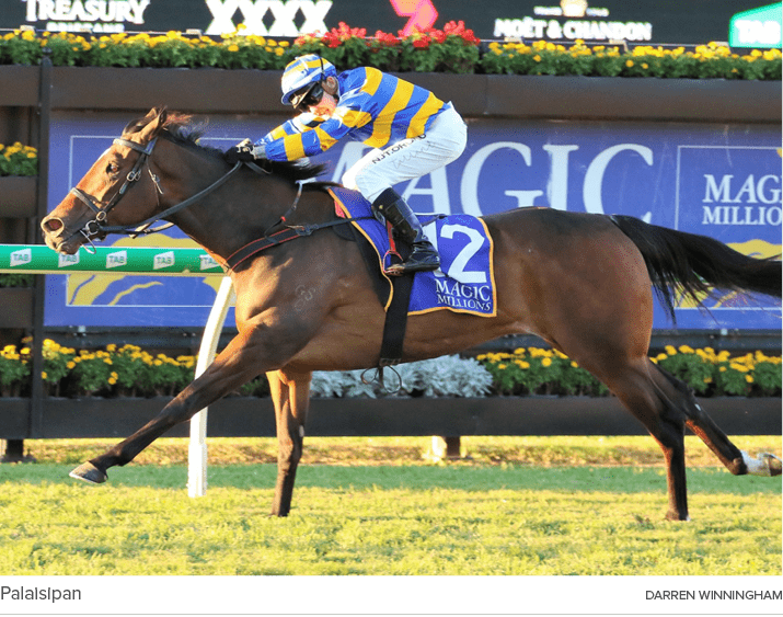 Palaisipan Darren Winningha