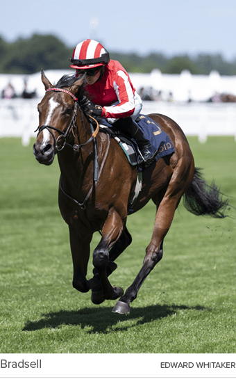 Bradsell Edward Whitake