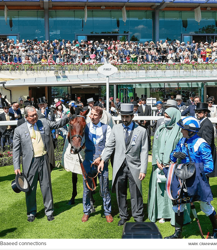 Baaeed connections Mark Cranha