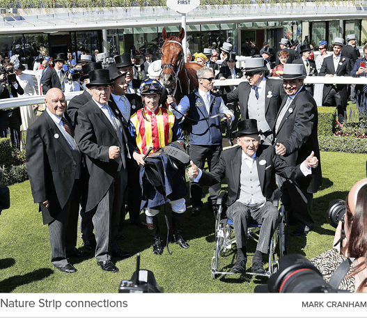 Nature Strip connections Mark Cranha