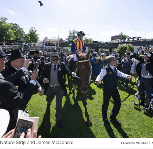 Nature Strip and James McDonald Edward Whitake