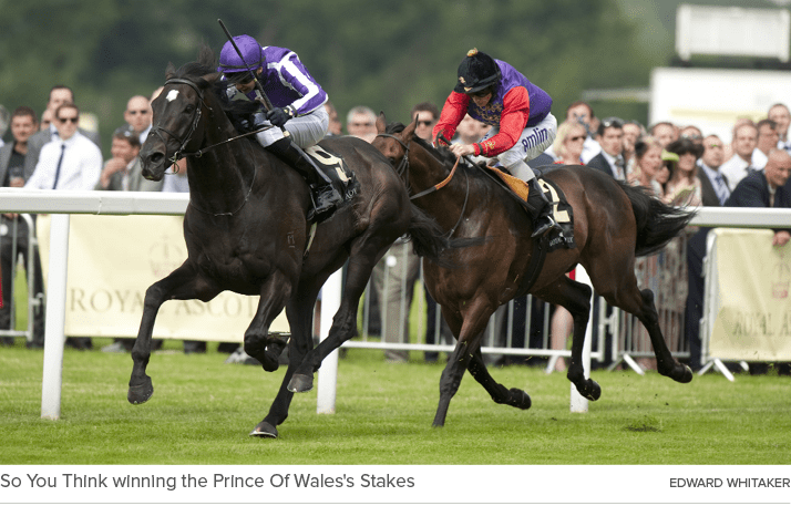 So You Think winning the Prince Of Wales's Stakes Edward Whitake