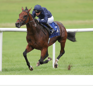 Anchorage CAROLINE NORRI