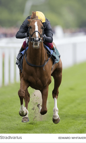 Stradivarius Edward Whitake