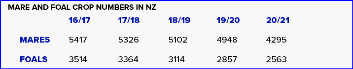 Mare and foal crop numbers in NZ, 16/17 17/18 18/19 19/20 20/21 mares 5417 5326 5102 4948 4295 foals 3514 3364 3114 2...