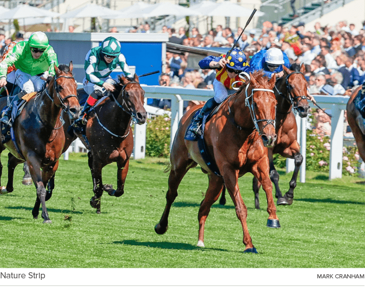 Nature Strip Mark Cranha