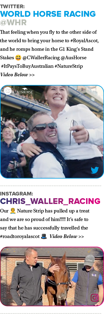 Twitter: World Horse Racing @WHR That feeling when you fly to the other side of the world to bring your horse to #Roy...