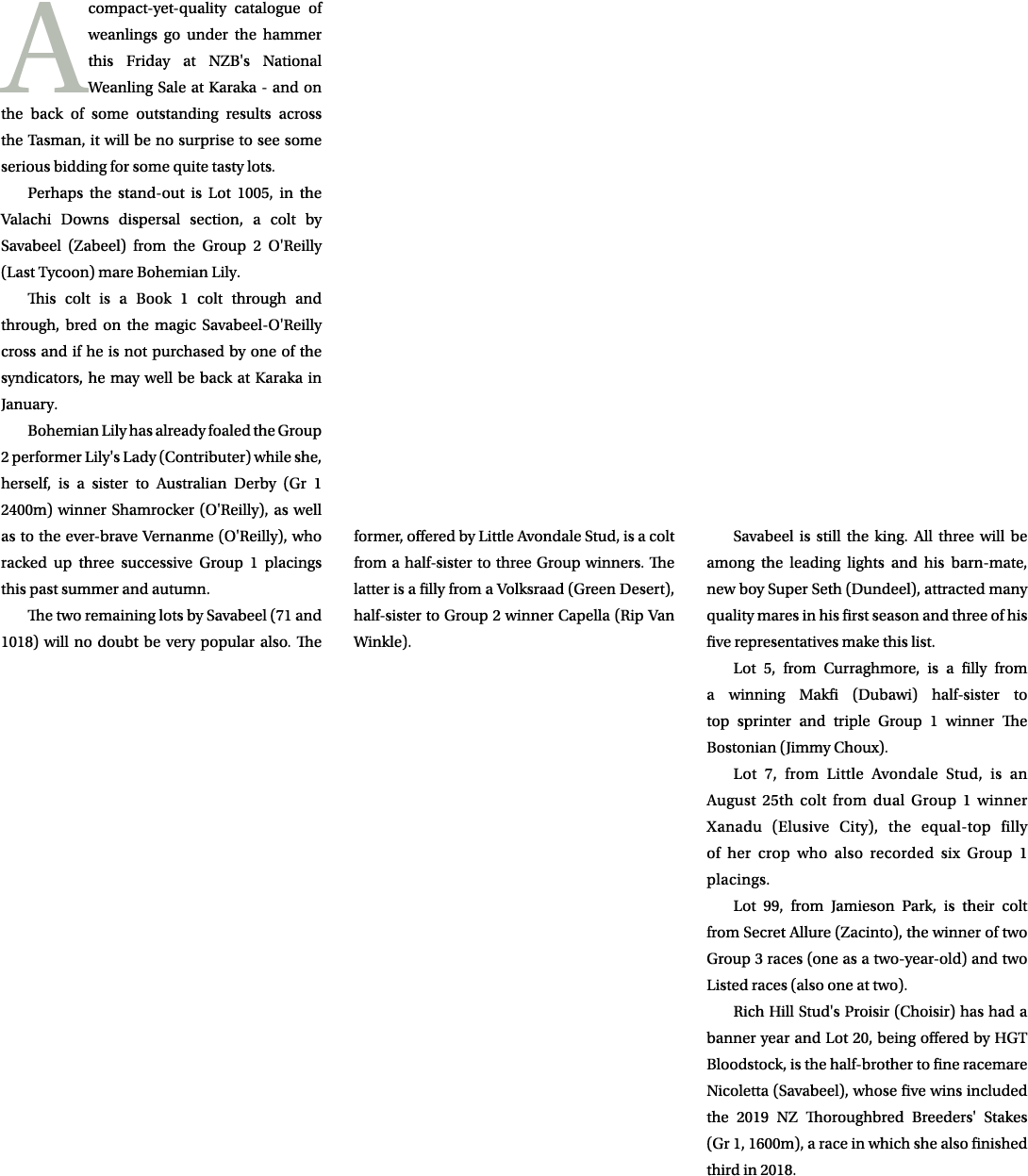 A compact-yet-quality catalogue of weanlings go under the hammer this Friday at NZB's National Weanling Sale at Karak...