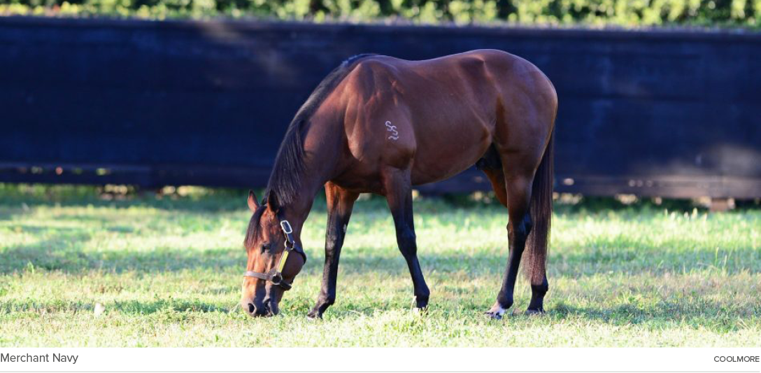 Merchant Navy COOLMOR
