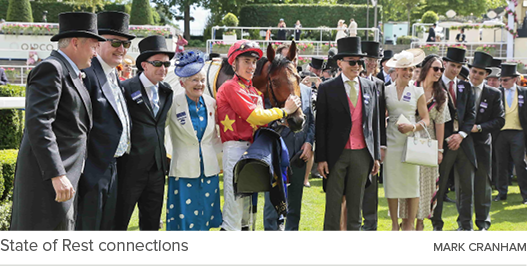 State of Rest connections Mark Cranha