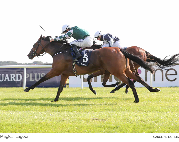 Magical Lagoon CAROLINE NORRI