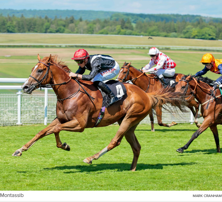 Montassib Mark Cranha